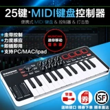 Samson Graphite M25 Mini 25 -Keke Midi Keyboard Professional Controller совместим с iPad