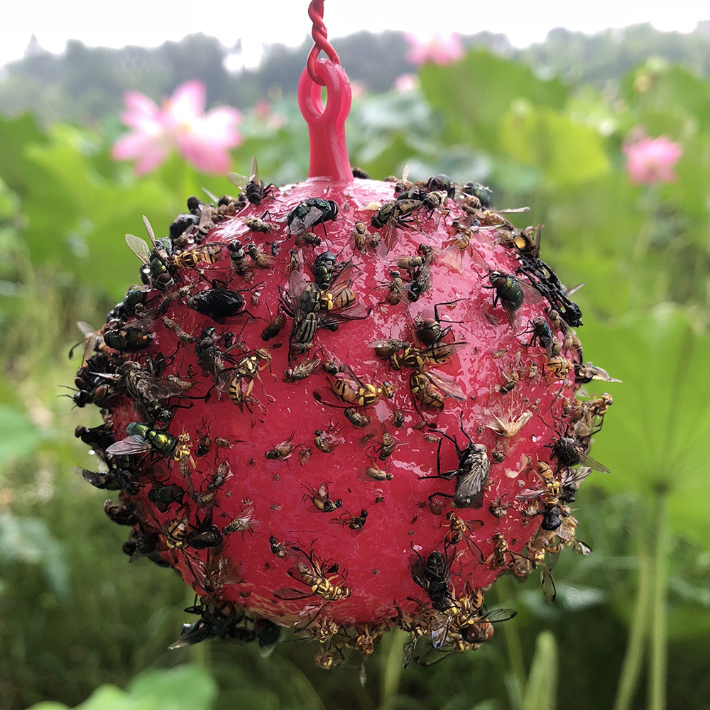Garden Patio Green Plant water Fruit Shop Insect Killer Outdoor Mucus ball Yellow plate fly to kill small black flying mosquitoes-Taobao
