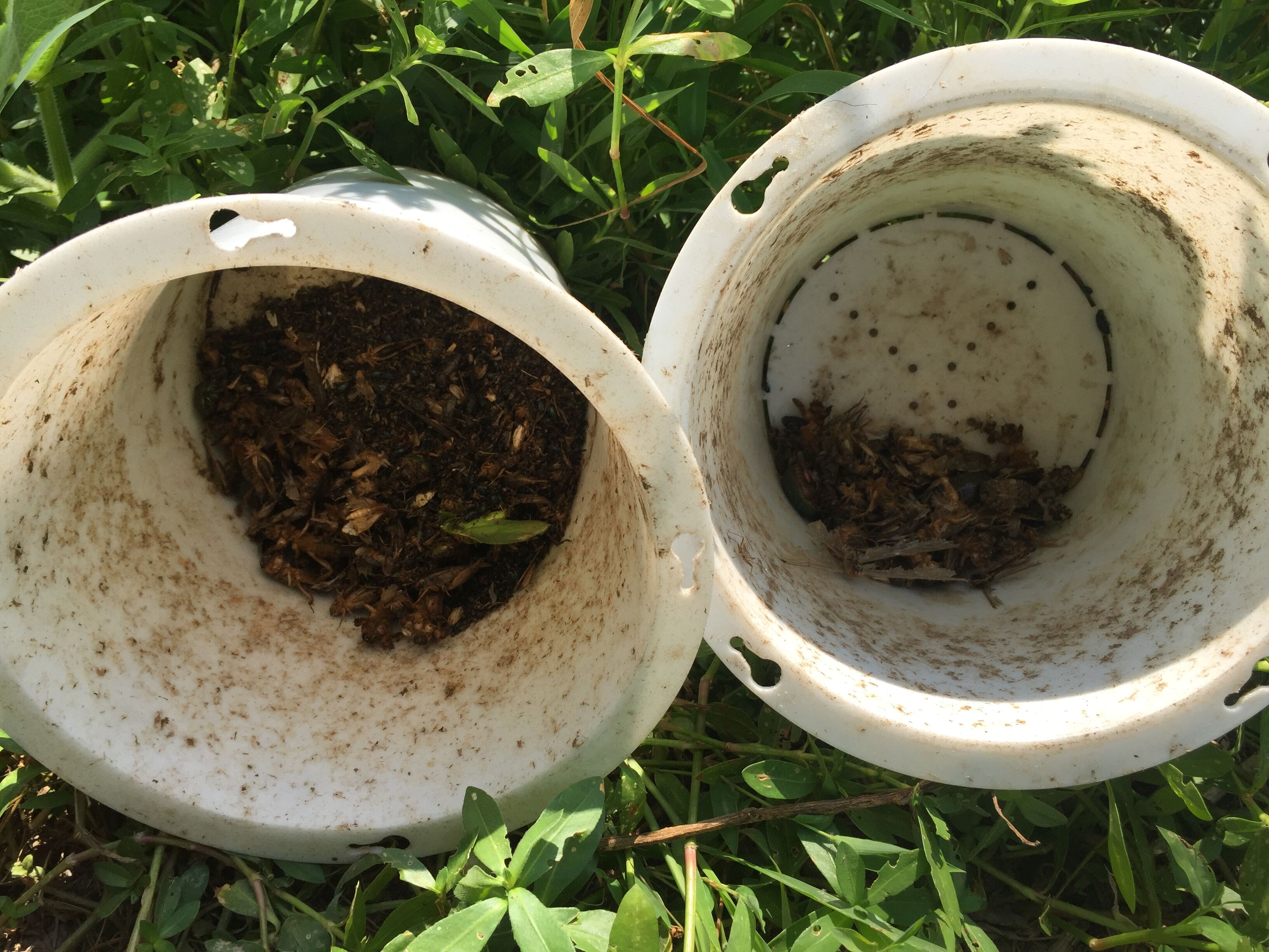 Rotary buckle type insect-killing lamp batterbox V0 grade flame retardant plastic Ioo1eNkkqN