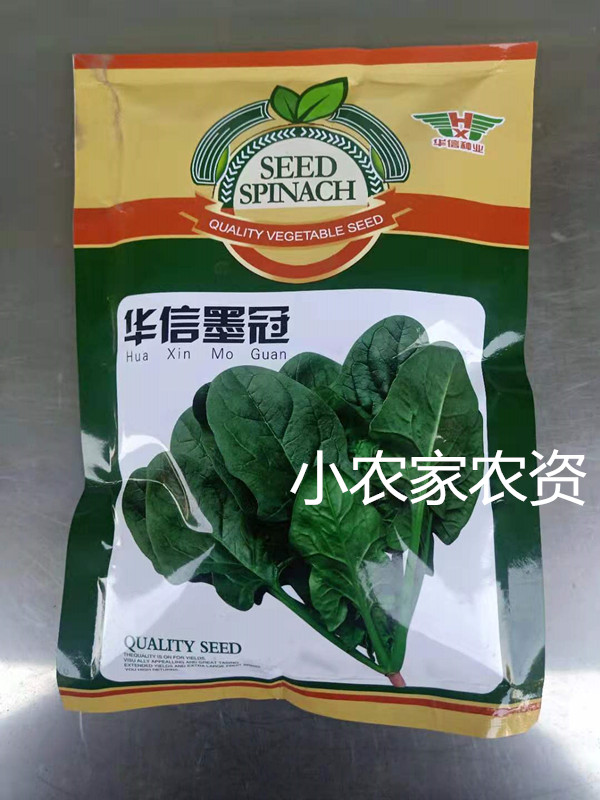 Huaxin Ink Crown Spinach 300g spinach seed anti-frost and mildew resistant cold-leaf green high-yield Daejeon special type