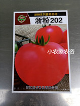 Zhejiang powder 202 tomato seeds pink fruit tomato seeds tomato seeds Zhejiang Academy of Agricultural Sciences bred 5 grams High Yield