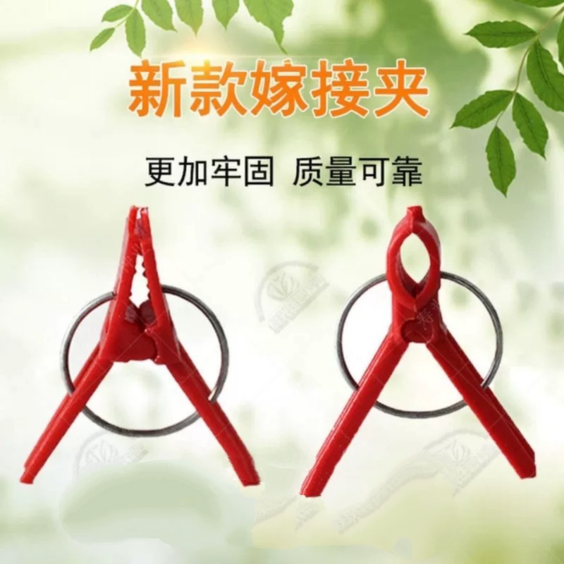 Grafting Clips for Grafting Crab Claw Orchids, Cucumbers, Tomatoes, Melons, Eggplants, Watermelons, and Vegetable Seedlings