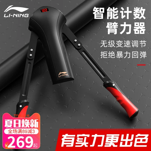 Групповые мышцы и брюшные мышцы и мышцы брюшной полосы