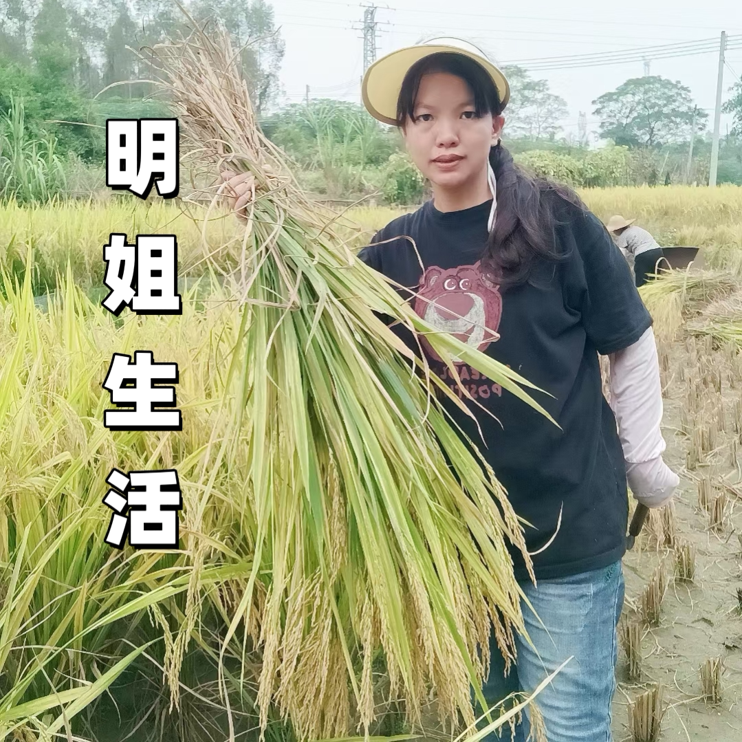 明姐清远特产店的LOGO