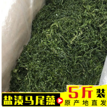 Rongcheng wild seaweed salted sargassum semi-dry seaweed firecrackers and bamboo shoots longevity vegetable cold hot pot ingredients