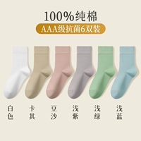 【2316】Паста из бобов 1 светло-синий 1 светло-зеленый 1 светло-фиолетовый 1 белый 1 хаки 1