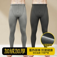 [Толстое акриловое волокно] темно-серый + светло-серый