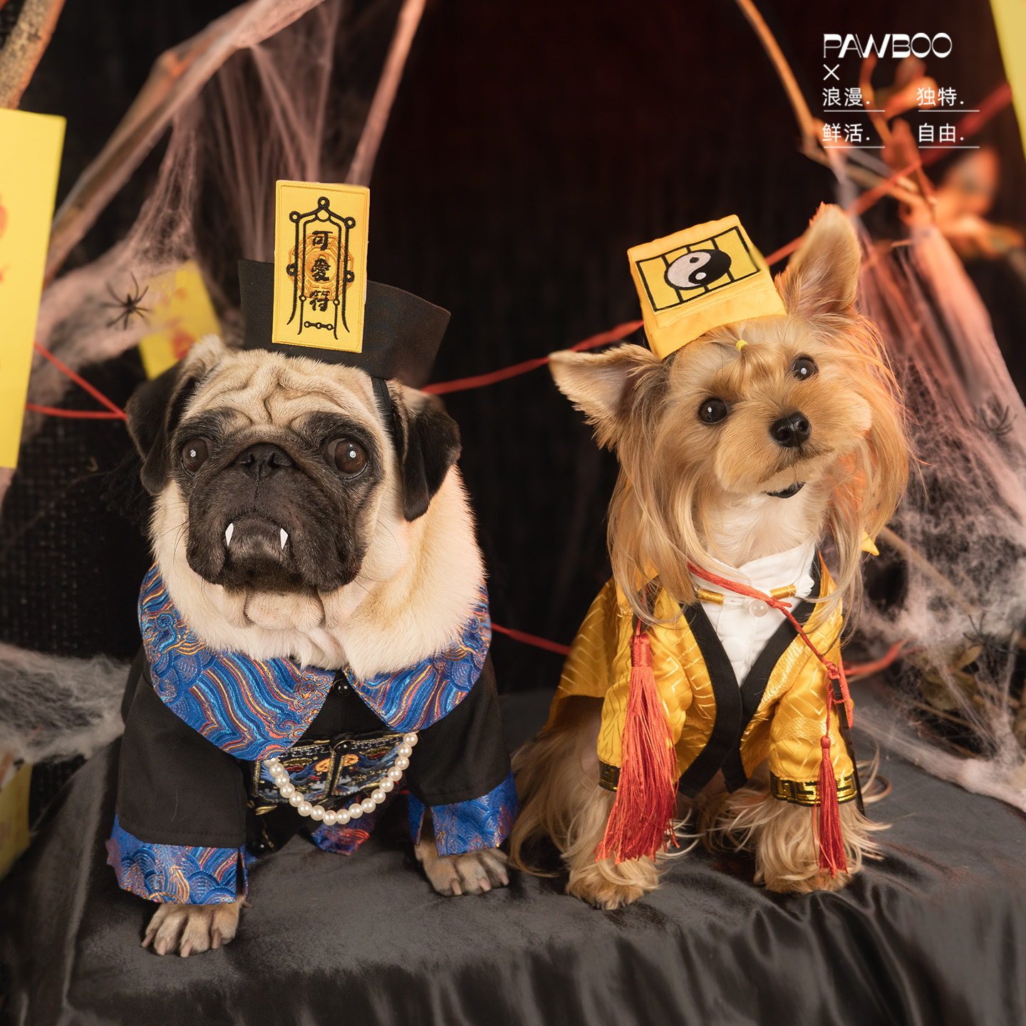 PAWBOO Cat and Dog Qing Dynasty Official Robe, Dog Clothes, Pet Halloween Zombie Set