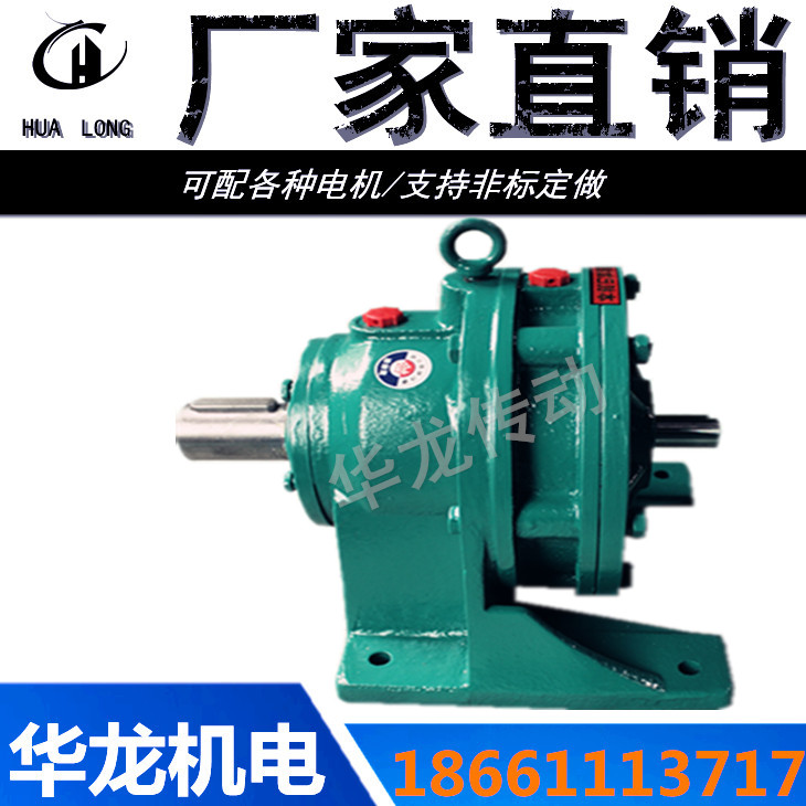 Cycloidal pinwheel reducer Horizontal Vertical Double Shaft Pulley Complete variety in stock
