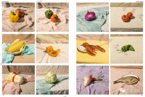 Абсолютное совместное исследование Цветовые фотографии 2020 Гели культура Чен Хайджун Одиночный комбинированный фрукты, овощи, цветы, разные объекты Статические фотографии, наброски материалов ландшафтный ландшафт вступительный экзамен в колледже, текстура учебника, гуашь