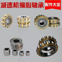 Cycloid pin wheel reducer accessories Eccentric sleeve Eccentric bearing RN204 206 205 307 309 312