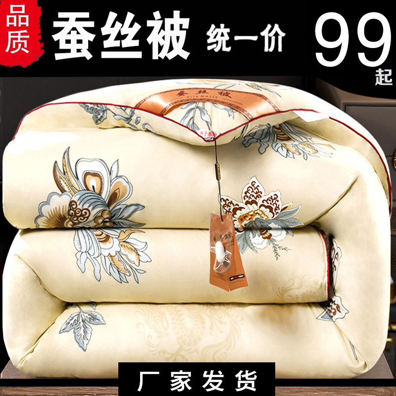 Thickened silk quilt 100% mulberry silk cotton quilt core cotton spring and autumn quilt autumn and winter quilt warm winter double winter