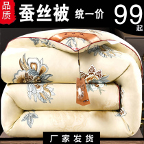 Thickened silk quilt 100% mulberry silk cotton quilted by core All cotton spring autumn quilt autumn winter quilted by warm winter double winter