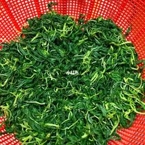 The Chaoshan Hemp Leaf Vegetable Revealed Qingbaima Leaf Chaozhou Toshantyan Authentic Cool Mix Red Hemp Leaf Vegetable Semi-finished Products Vacuum Clothes