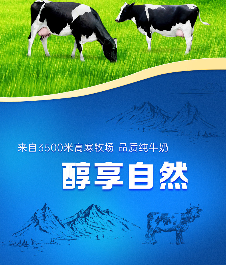安享好物 安享B级纯奶-小西牛高原纯牛奶 国标 