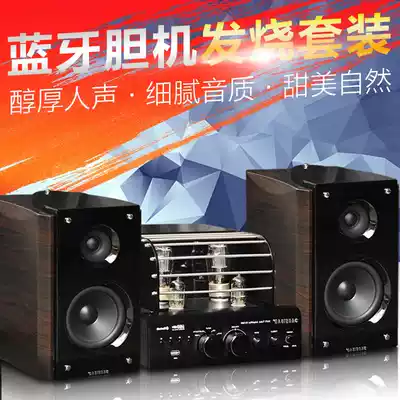 Vacuum tube bile machine power amplifier audio combination hifi bookshelf speaker set USB non-distortion playback Bluetooth