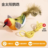 Golden Sun Parrot [Отправить кошачья + подвесная веревка]