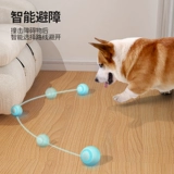 Собачья игрушка мяч самозваний и скучные собачьи щенки щенки