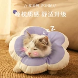 Кошачья воротник Элизабет Круг собака Водонепроницаемое лизание мягкая голова 伊 绝 绝 绝 绝 绝 绝 绝 绝 绝 绝 绝 绝 绝 绝 绝 绝 绝 绝 绝 绝 绝 绝 绝 绝 绝 绝 绝 绝 绝 绝 绝 绝 绝 绝 绝 绝 绝 绝 绝 绝 绝 绝 绝 绝 绝 绝 绝 绝 绝 绝 绝 绝 绝 绝 绝 绝 绝 绝 绝 绝 绝 绝 绝 绝 绝 绝 绝 绝 绝 绝 绝 绝 绝 绝 绝 绝 绝 绝 绝 绝 绝 绝 绝 绝 绝 绝 绝