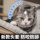 Головной убор для кошек, защитное кольцо для кошек, головной убор для защиты от укусов собак, приспособление для купания, стрижки ногтей, защиты от царапин и облизывания домашних животных mini 1