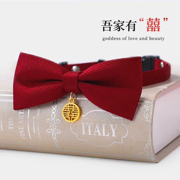 Товары от 柒哦宠物用品专营店