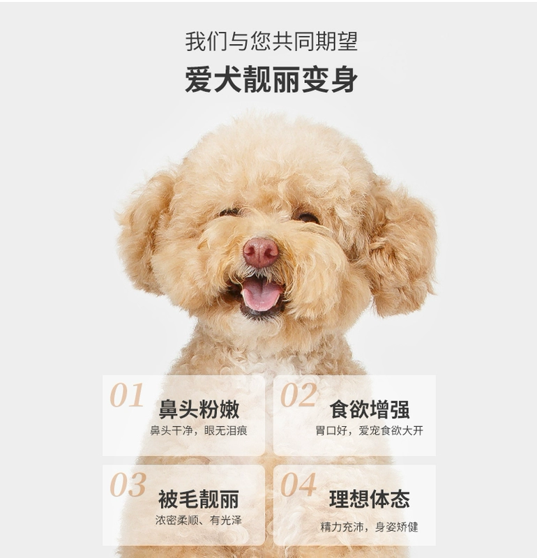 Phô mai Meisi Natural Selection Cá ngừ nguyên giá Vị thành niên Thức ăn chung cho chó 8kg Thức ăn cho chó Teddy Bichon - Chó Staples