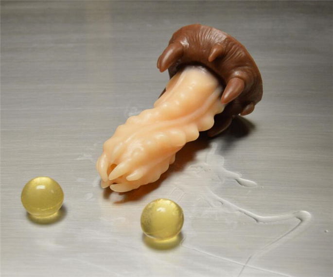 American Import Trumpet Soft Silicone External Star Bio Hollow Anal Plug Oviter Toy SM Male and female Ass Eye Inserts