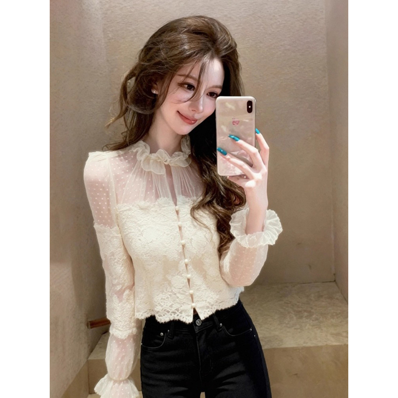 Lace Spliced Mesh Long-Sleeved Shirt for Women, Spring and Autumn Slimming Waist-Cinching Shirt with a Sense of Design, Pure and Sexy Short Top