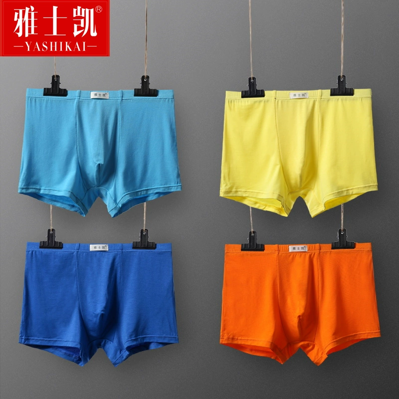 Mùa thu và mùa đông quần lót nam modal cotton thoáng khí XL cộng với anh chàng mập mạp quần short bốn góc - Giống cái