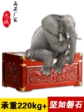 [龙凤婚庆整理收藏箱带锁老香樟木箱子字画储物箱子全实木箱子衣箱]