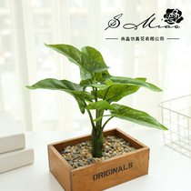 仿真绿植叶子不含盆创意DIY用品多肉仿真花室内摆件造植物工厂