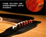 Bull Bone 吉 народная гитарная струна ногтевая струна деревянная гитарная волокна для волокна гвоздя набор из 6