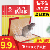 Purple Dream Garden sticky mouse board super powerful household catch mouse board paste glue drive environmental protection mouse artifact Buster