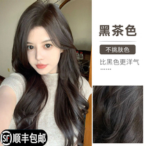 Poplar tree black tea hair dye cream female natural black stained pure plants at home covering white hair iris blue black