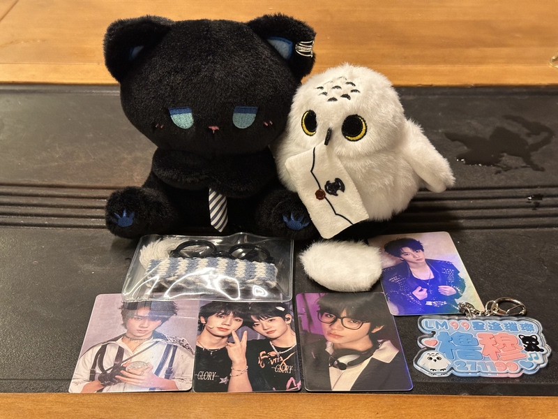 Tf Family Wang Lujie and Mu Zicheng's Same Style Hedwig Owl Emo Cat Plush Toy Lu Mu Cp Merchandise Doll