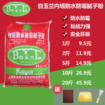 White interior wall waterproof mildew Putty powder finished putty paste wall repair refurbished white powder paint