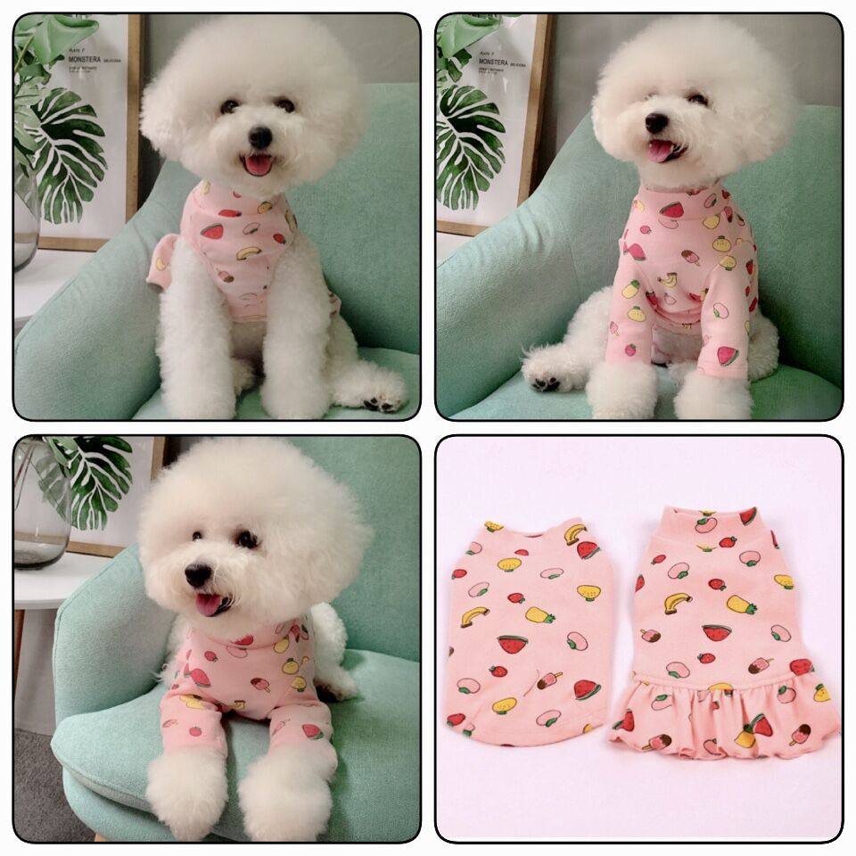 Pet Clothes Autumn Winter New Pure Cotton Printed Fruit Composition Skirt Dog Clothes Teddy Bibi Bear Beating Undershirt-Taobao