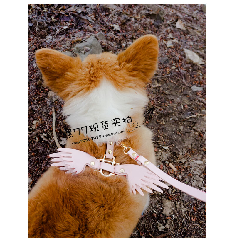 Wei Mi dễ thương chuỗi xích chó chó xích nhỏ và vừa chó thiên thần cánh ngực dây đeo mèo chuỗi chó cổ - Cat / Dog hàng ngày Neccessities Hộp đựng thức ăn cho chó
