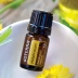 Dotray doterra dầu hoa vĩnh viễn mặt cho quầng thâm làm sáng tông màu da dưỡng ẩm tinh dầu đơn phương - Tinh dầu điều trị