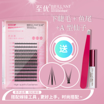 To Superior False Eyelash Composition Female Simulation Fish Tail A Type Fairy Hair Light Weight Lower Eyelash Self-Adhesive Graft Hybrid
