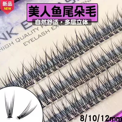 A single plant false eyelash beauty salon personal planting grafted eyelash fish tail single cluster 12 dense hair