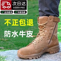 New brown combat training boots for men ultra-light breathable mesh outdoor training boots for women waterproof and puncture-proof yellow