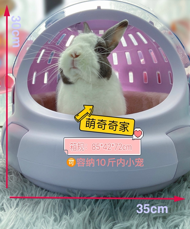 Cute Chic Family Fat Chic Pets Aviator Air Box Ventilation Breathable Travel Rabbit Owl Carry-on Air Box