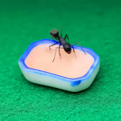 Ceramic dinner plate random delivery does not pick the shape