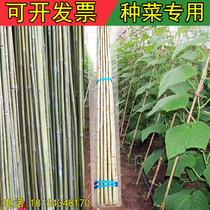 Cucumber bean grape outdoor vegetable garden rack bamboo pole interior decoration fence bamboo pole thickness bamboo shelf