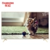 Changhong / Changhong 55A5U 55 inch 4K Ultra HD Mạng thông minh Máy tính bảng LED LCD TV 65 tivi treo tường TV