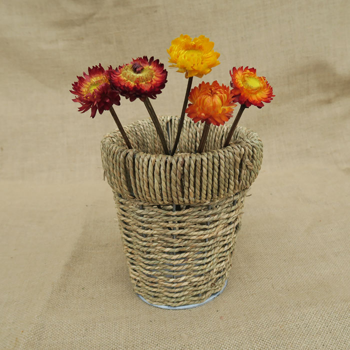 Yunnan dry flower natural small daisy wheat straw chrysanthemum real flower dining room bedroom decoration home furnishings dry flower special offer
