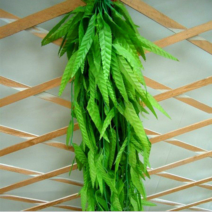 ��Ƚ��������������Ҷ����FZLSY777