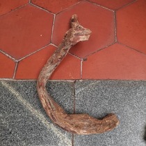 894 -- The downpour is expected to weigh 1 84 kilos