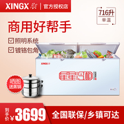 tu cap dong Tủ đông lạnh thương mại lớn XINGX / Star BD / BC-716E - Tủ đông tủ đông đứng